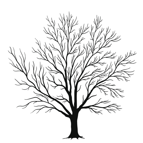 Myracle Tree